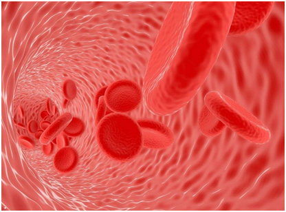 儿童血常规正常是不是就没别的问题