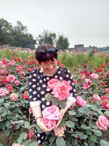 鲜花和荣誉，一切都是过去式