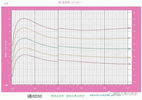 教育5~6岁孩子应考虑其发育特点 教育5~6岁孩子应考虑其发育特点