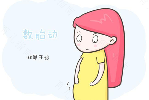 胎动的规律你真的都了解吗