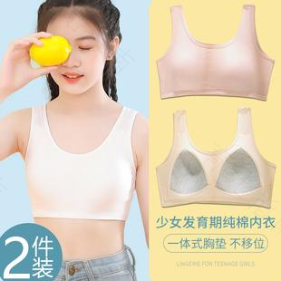 青春期少女如何选择适合自己的胸罩
