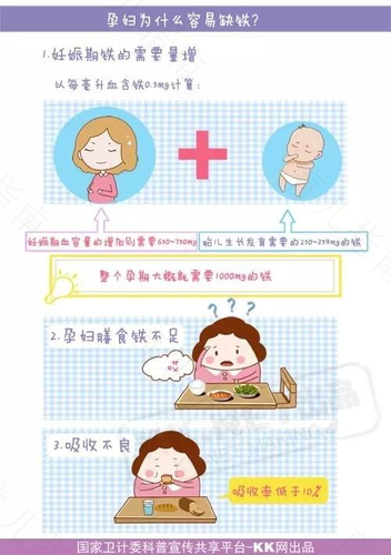孕前缺铁易损胎儿智力
