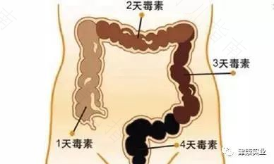 便秘与上火的关系及调理方法 便秘与上火的关系及调理方法