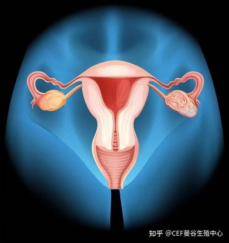 女性孕”气差 或只是黄体功能异常 女性孕”气差 或只是黄体功能异常