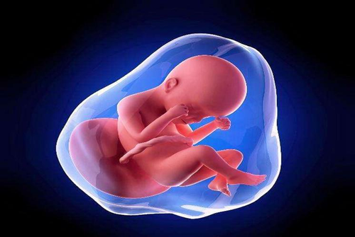 性格胎教对胎儿发育的重要性 性格胎教对胎儿发育的重要性