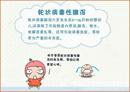 分清腹泻，针对治疗