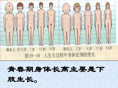 女孩青春期的性成熟过程