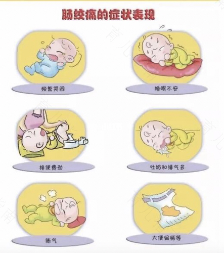 腹泻伤害的不仅仅是肠道！宝宝腹泻如何正确调理？