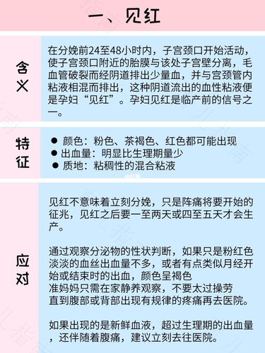 风险评估如何 孕产妇需早了解