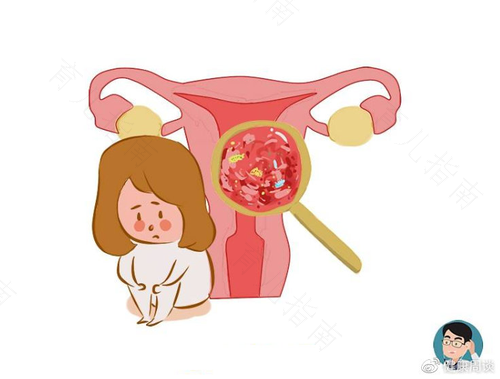 孕前准备工作不可精细过头