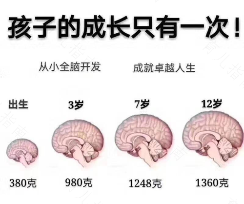 儿童大脑发育的决定性时期
