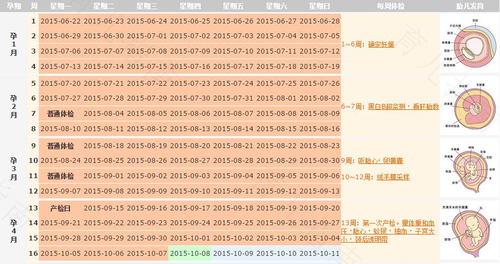 如何从末次月经计算预产期 如何从末次月经计算预产期