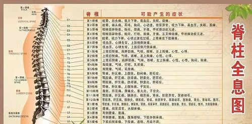 如何通过按摩缓解胸椎小关节紊乱