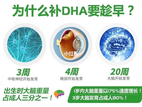 有益于胎宝宝大脑和视力的DHA 有益于胎宝宝大脑和视力的DHA