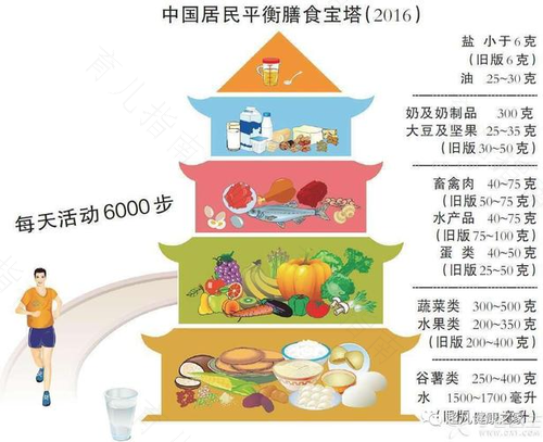 认识人体所需的三大类营养素