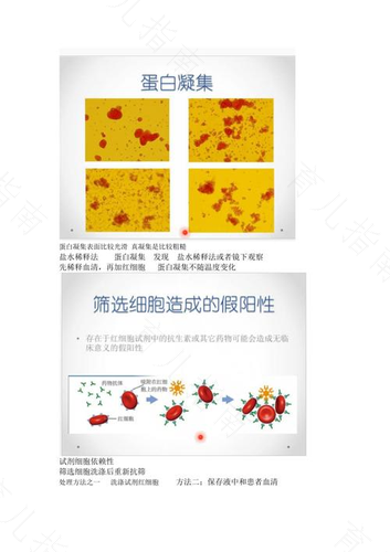 检测到澳抗阳性代表了什么