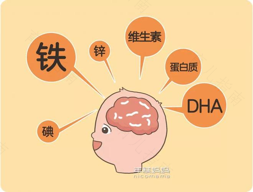 给胎儿补脑 你用对方法了吗