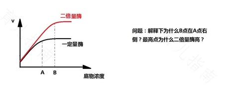 这样做可以减少生物酶的浪费