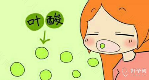 饮食结构不同，中国准妈妈怎么吃叶酸