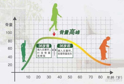 影响钙吸收的因素有哪些