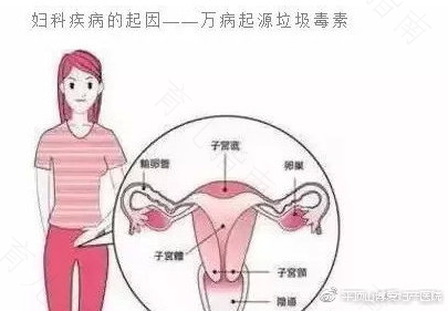 你的子宫能够承受哪些伤？
