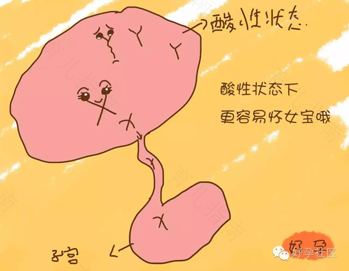 八种状态下易生女孩