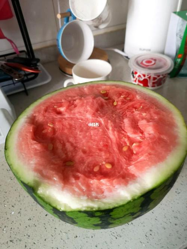 西瓜皮也能做成可口美味