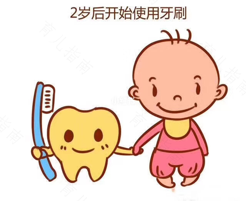 辅食添加对牙齿健康的帮助