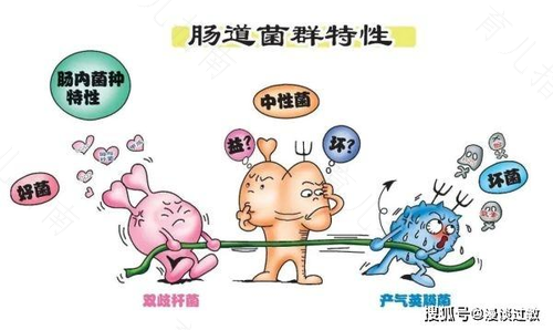 最新研究表明：维生素A缺乏可致儿童肠道菌群失调