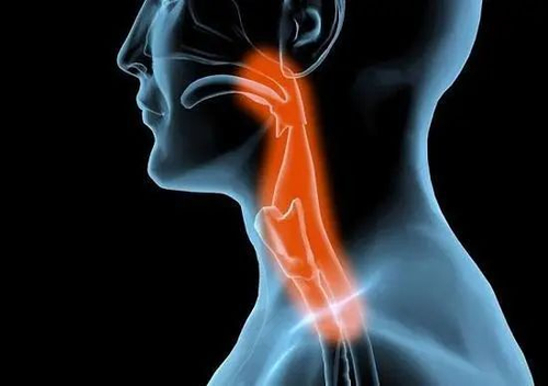 保护孩子声带 缔造完美嗓音 保护孩子声带 缔造完美嗓音