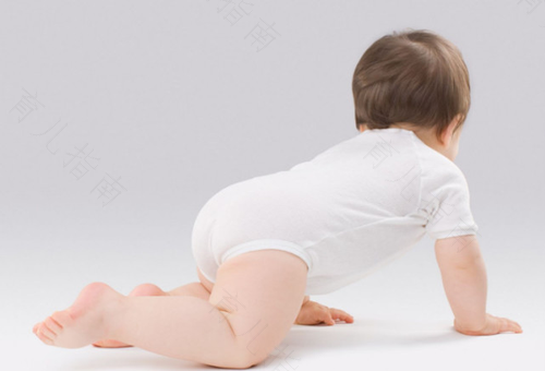 宝宝爬行的好处很多