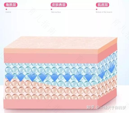 荷尔蒙对人类肌肤的影响不容小觑