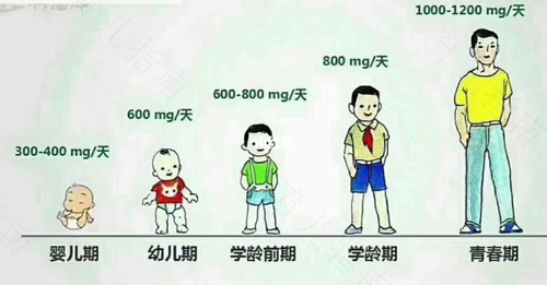 暑期长假别浪费 矫正驼背多补钙