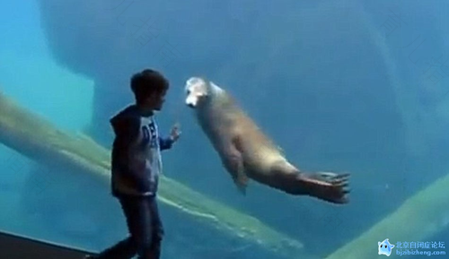 美国患孤独症少年达53.5万 美国患孤独症少年达53.5万