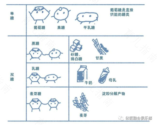 益生元,了不起的碳水化合物 益生元,了不起的碳水化合物