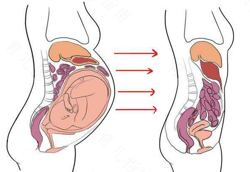 产褥期身体变化图片图片
