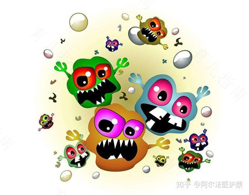 预防肠道病毒EV71的办法