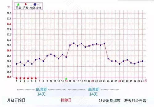 了解基础体温，掌握怀孕的最佳时机