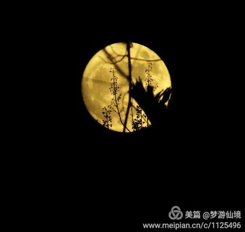 月经的节律受寒暖、情志、大地和月亮等因素的影响 月经的节律受寒暖、情志、大地和月亮等因素的影响