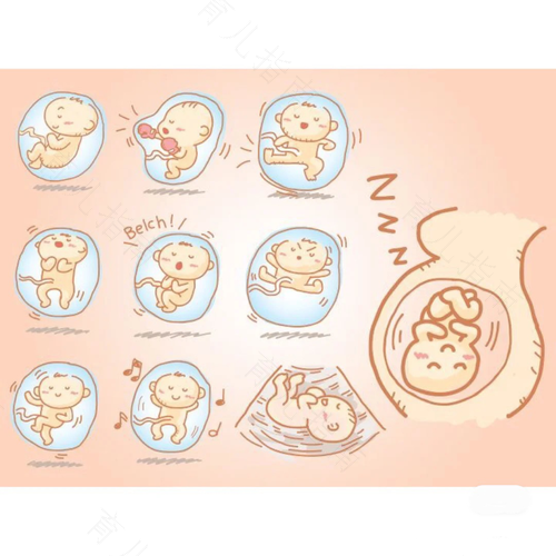 胎教可以塑造宝宝的性格吗