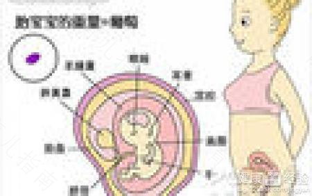 怀孕9周的营养问题 怀孕9周的营养问题