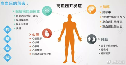 什么会引起高血压突发 什么会引起高血压突发