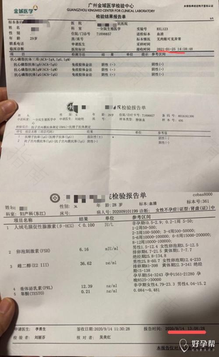 免疫组化是检查什么 免疫组化是检查什么