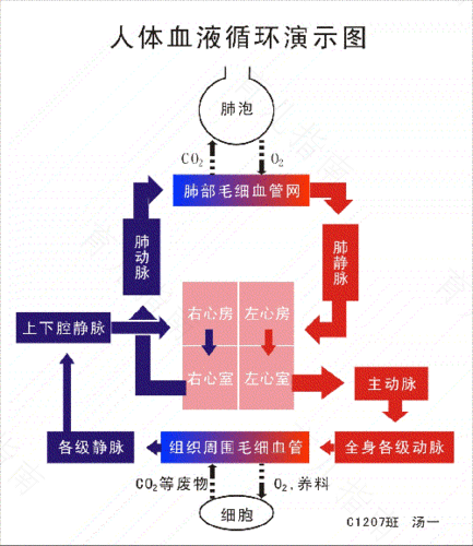 血液系统疾病有哪些症状 血液系统疾病有哪些症状