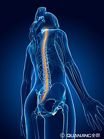 腰椎间盘突出会引起乏力吗 腰椎间盘突出会引起乏力吗