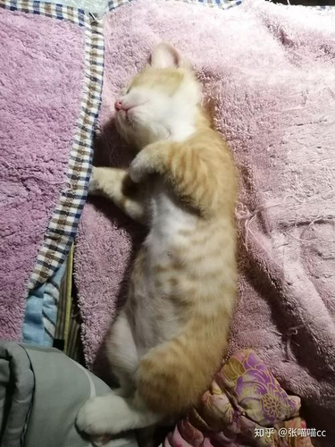 经常歪头是怎么回事儿