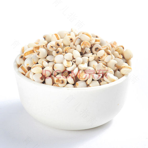 薏仁可以用来生吃吗 薏仁可以用来生吃吗