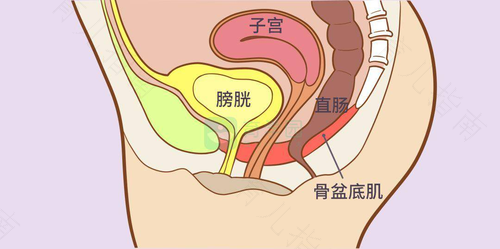 子宫脱垂是什么原因导致的