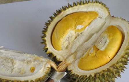 慢性肾炎的人可以吃榴莲吗 慢性肾炎的人可以吃榴莲吗