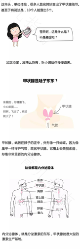 甲状腺乳腺是什么意思 甲状腺乳腺是什么意思